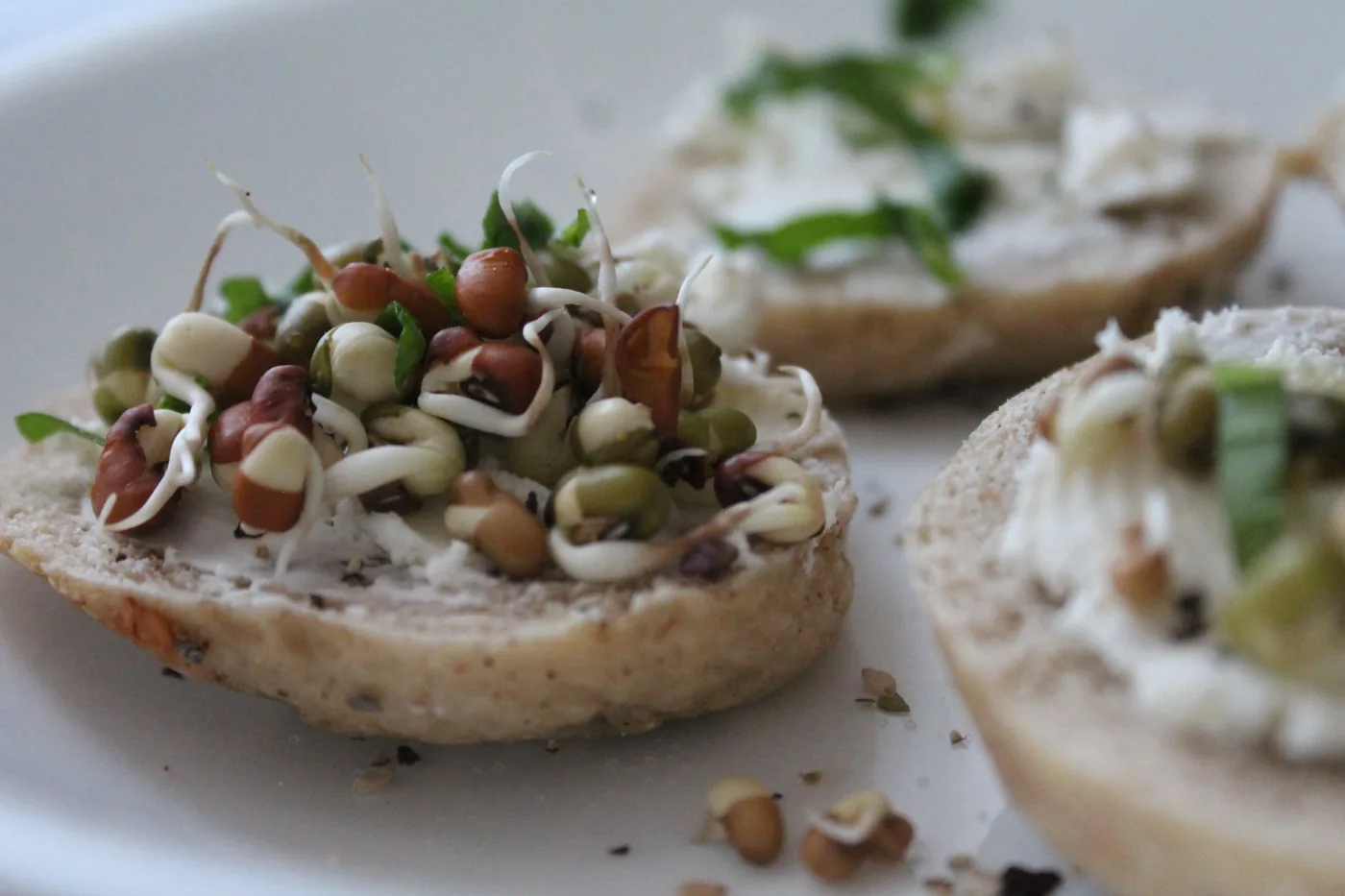 Serving inspiration for Creamy White Bean Garlic Toasts