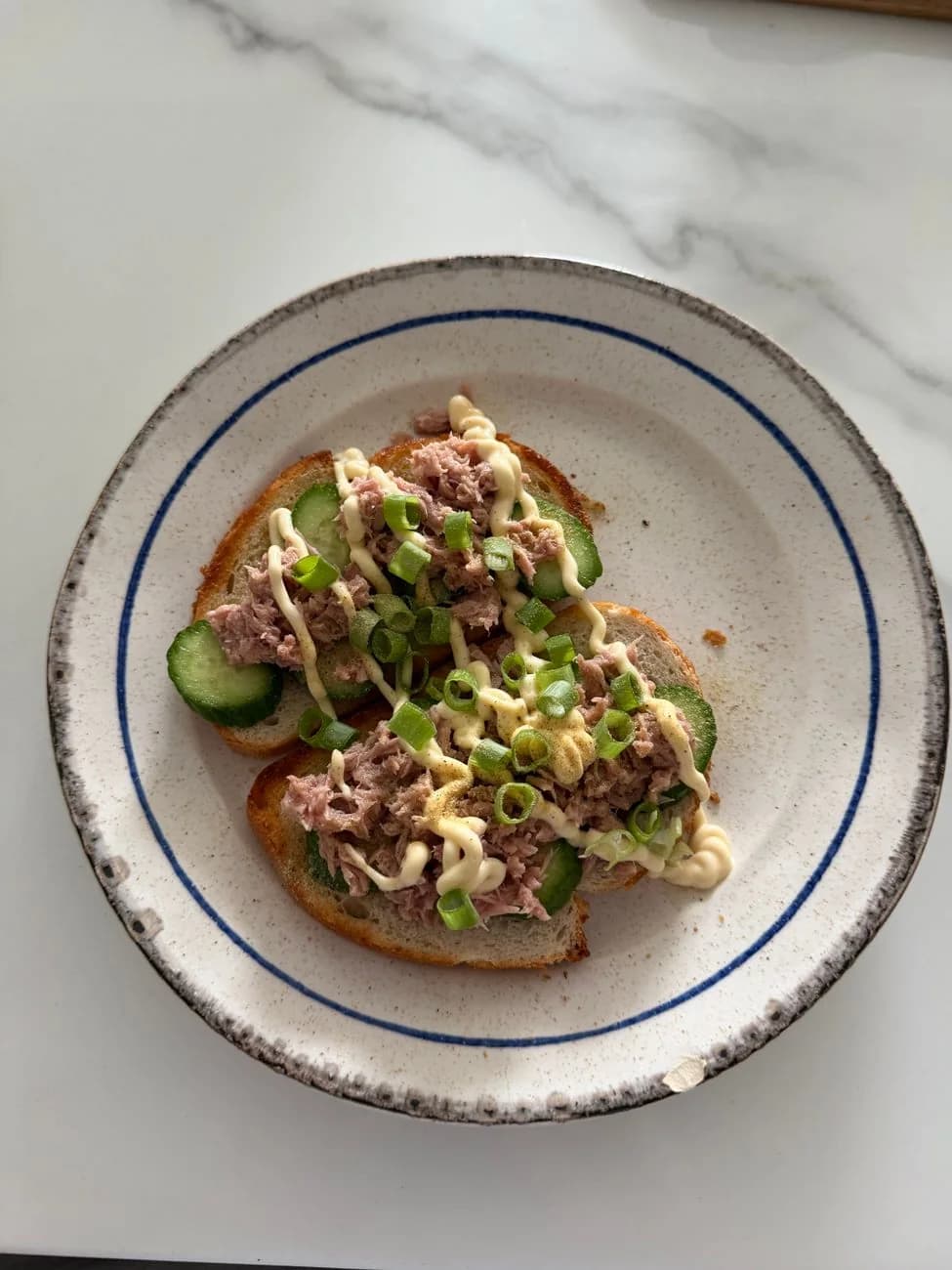 Serving inspiration for Tuna White Bean Lemon Toasts